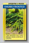 Juniperus x-media Daubs Frosted